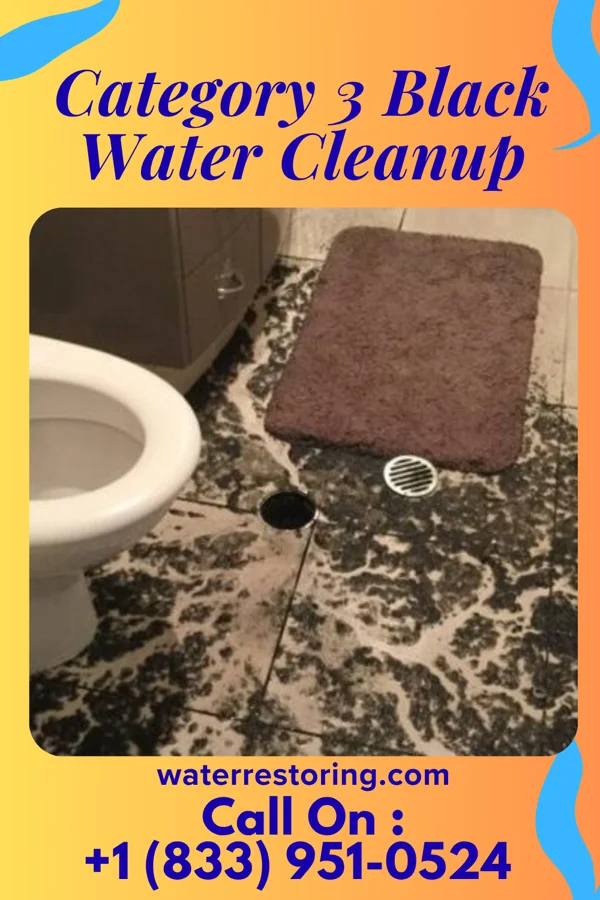 Category 3 Black Water Cleanup in Springer, NM