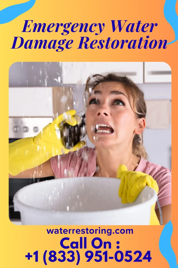 Emergency Water Damage Restoration in Springer, NM
