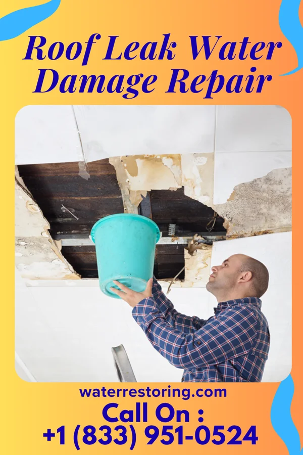 Roof Leak Water Damage Repair in Springer, NM